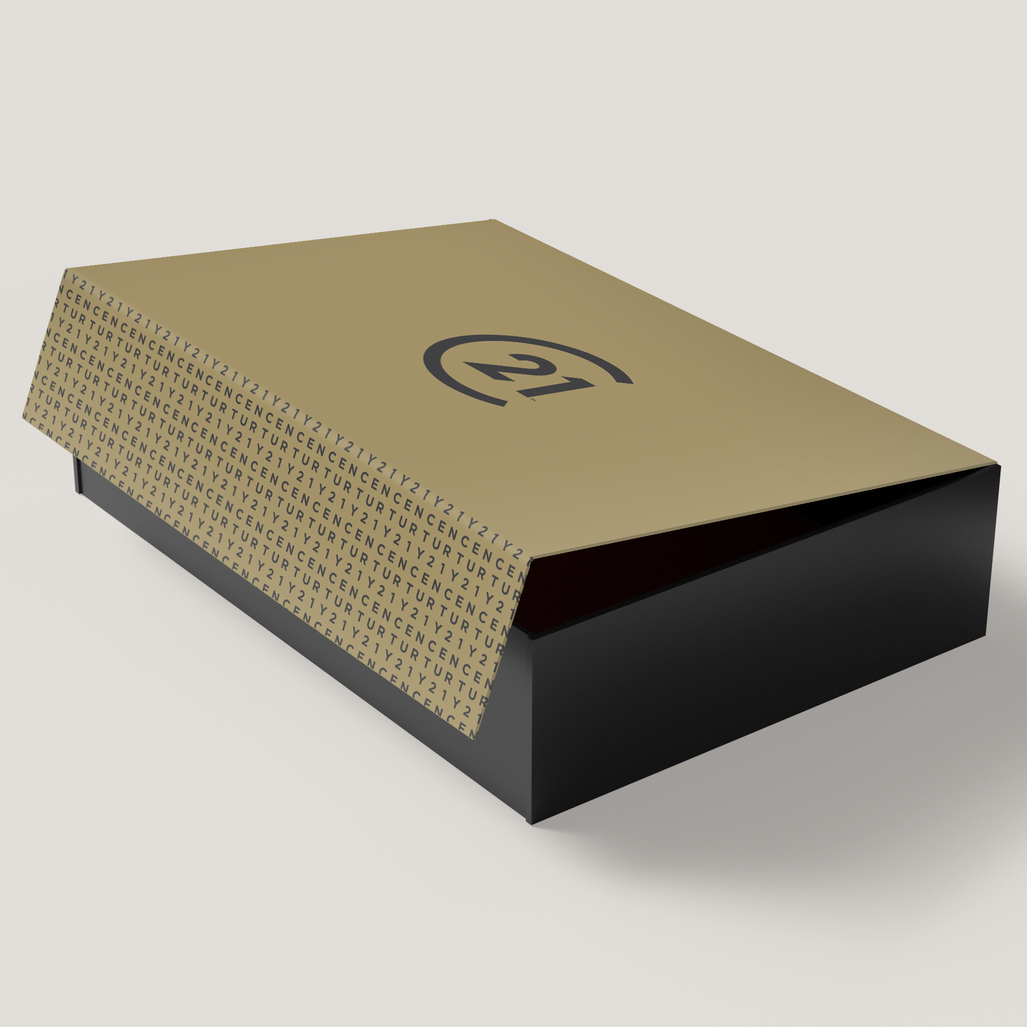 Century 21 Gilded Large Gift Box. Premium gilded design with strong build, perfect for elegant client gifts and presentations.