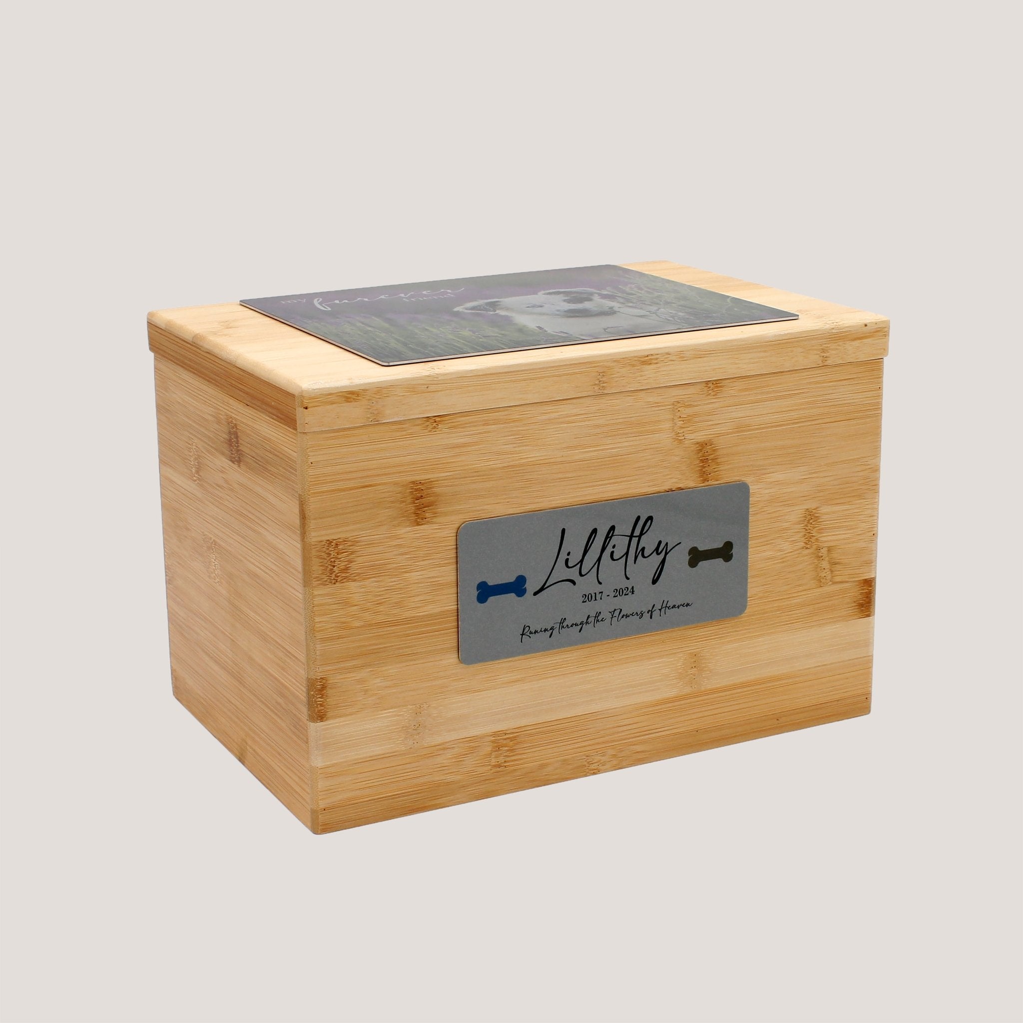 Bamboo Boxes (10 Pack) - Peleman Industries Inc. - Small -