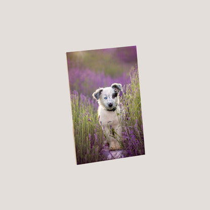 Bamboo Magnets - Peleman Industries Inc. - 4in x 6in - 