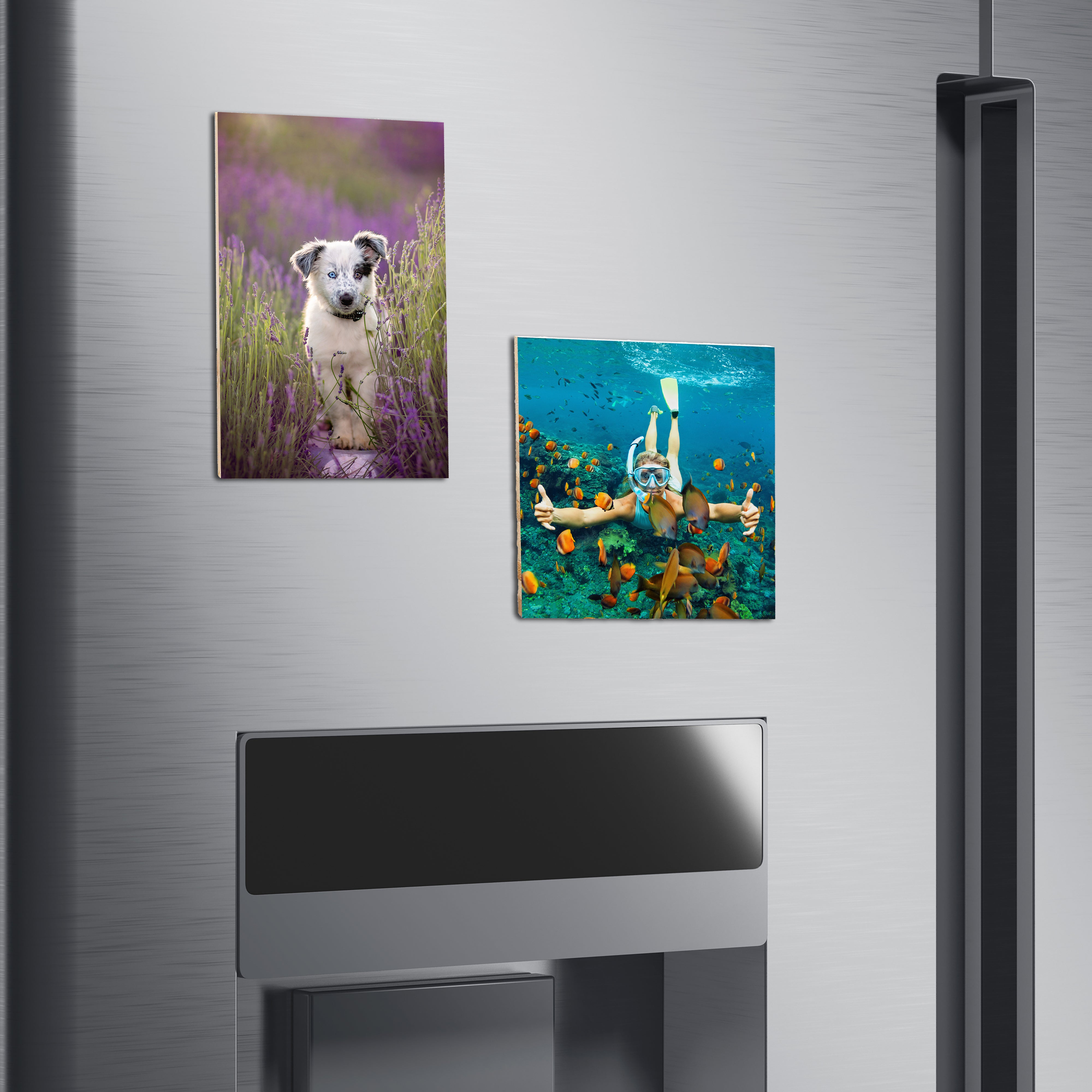 Two bamboo magnets attached to a refrigerator, one depicting a dog in a field and the other a underwater scene with fish and coral.