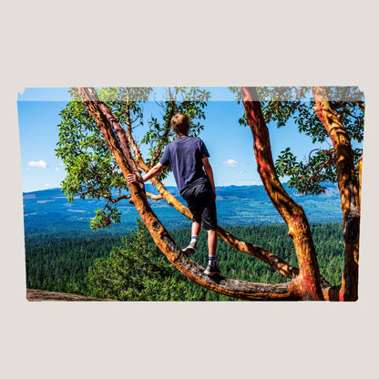 Metal Canvas - Peleman Industries Inc. - 