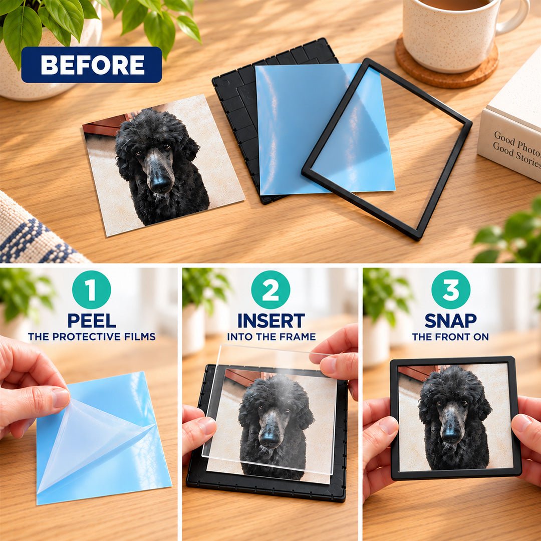 Peleman Black Frame Photo Magnets, 4x4 and 4x6 in - Peleman Industries Inc. - 4in x 4in - 5 Pieces -