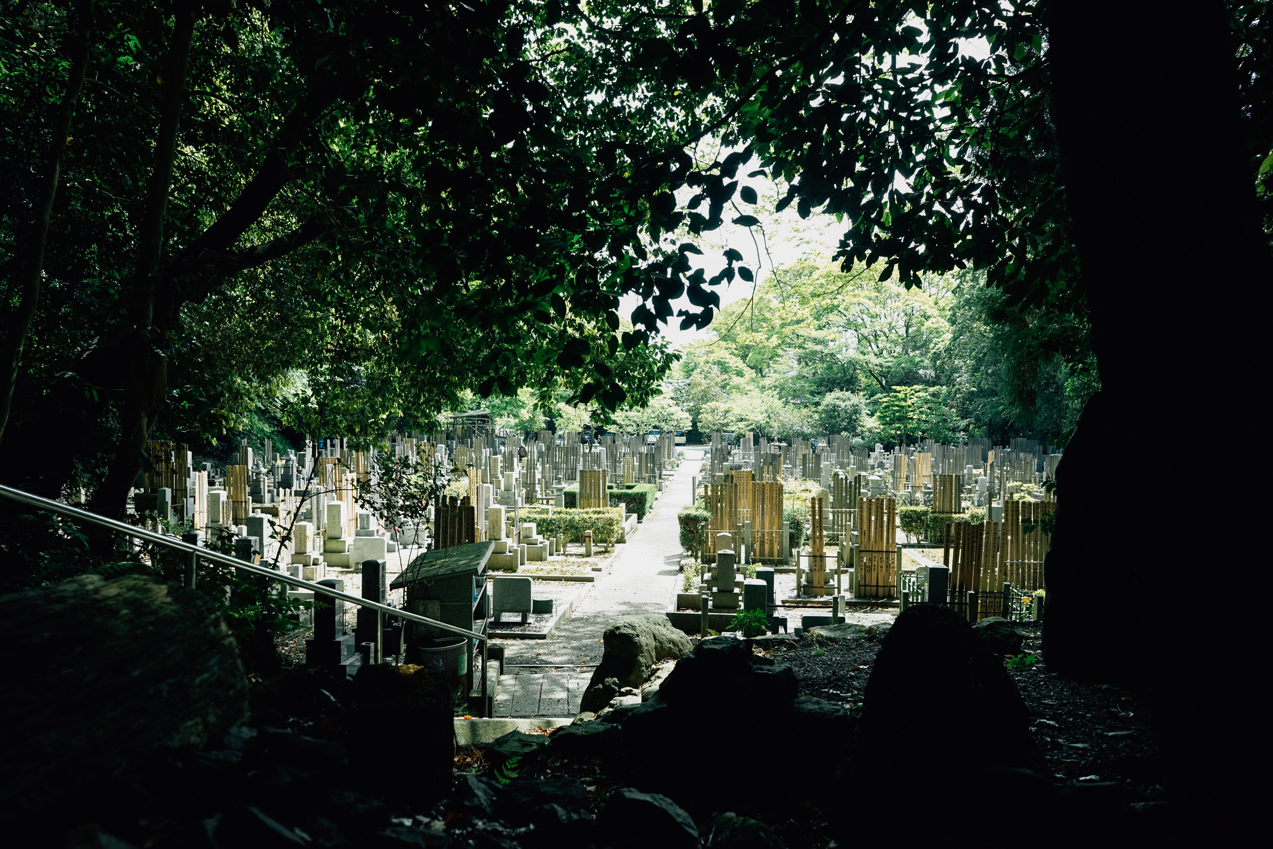 sunlight-illuminating-japanese-cemetery